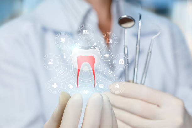 Professional  Holistic Dental Services in Bridge City, LA